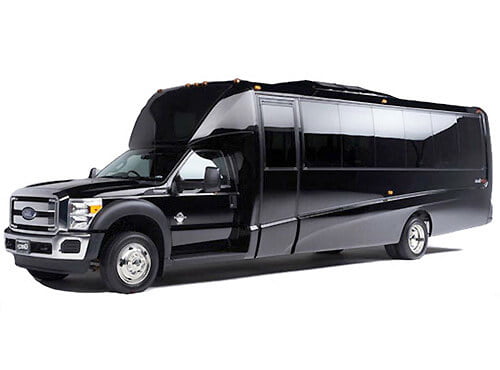 Mini Bus