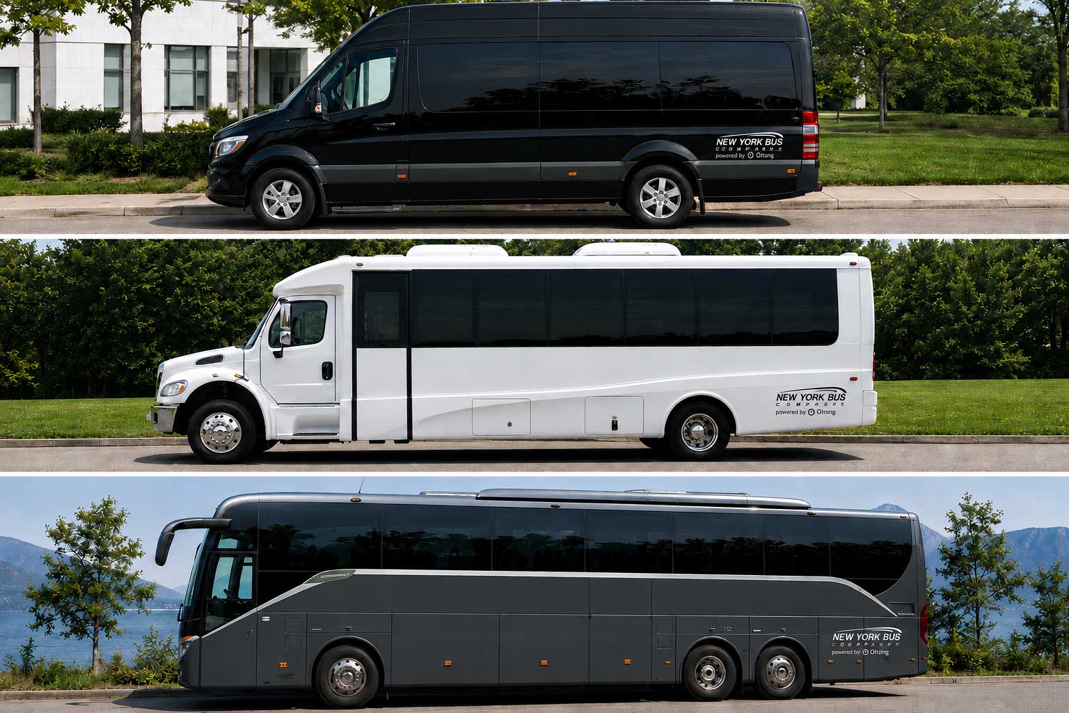 Side profiles of a New York Bus Company sprinter van, minibus and motor coach