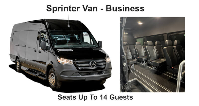 Business-class Mercedes-Benz Sprinter van seating 14 passengers