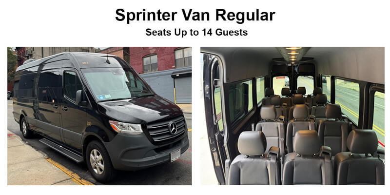 Regular Mercedes-Benz Sprinter van seating 14 passengers