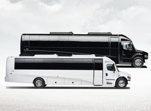 bus company new york